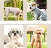 INF Set tagliacapelli elettrico per animali domestici con Anteprima dell’immagine prodotto 2