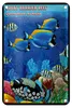 Blechschild Spruch 12x18cm great barrier reef Queensland Produktbild-Vorschau 1