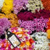 Dackel mit Blume Schlüsselanhänger mit Kunstleder-Anhänger Produktbild-Vorschau 3
