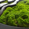 STYLER Wandbild 50x100 cm Bonsai 3D Pflanzenbild Moosbild Produktbild-Vorschau 5
