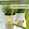 4er Set Kräutertopf Selbstbewässernd Selbstbewässerungstopf Produktbild-Vorschau 8