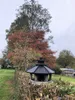 GARDEN SPIRIT Vogelhuis met voederreservoir, hout, 35 x 40 Productafbeelding-voorbeeld 6