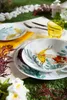 A table setting with plates and a glass on a grassy surface, decorated with plants. Podgląd zdjęcia produktu