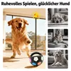 Hundespielzeug Fußballball, für aggressive Kauer, Produktbild-Vorschau 4