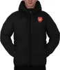 Arsenal FC - Pánská prošívaná bunda GF347 (M) (černá) Náhled obrázku produktu 1