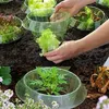 Zwei Bilder zeigen klare Plastik-Pflanzenschützer in Gebrauch, eines mit Händen, die Salat pflanzen, ein anderes mit einem Setzling Anteprima dell’immagine prodotto