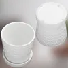 KOTARBAU® Pot de plantes avec soucoupe Blanc ⌀ 13 cm Voir les images du produit 4