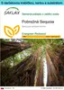 SAFLAX Darčeková sada - Pobrežná Sequoia - Sequoia Náhľad obrázku produktu 1