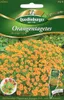 Orangen-Tagetes Orange | Blumensamen von Quedlinburger Produktbild-Vorschau 4
