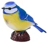 Mojo Spielzeug Spielfigur Blaumeise - pädagogisches Produktbild-Vorschau 3