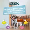 Szelki dla psa Coachi Podgląd zdjęcia produktu 6