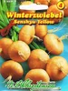 Zwiebel Senshyu Yellow Winterzwiebeln | Zwiebelsamen von Produktbild-Vorschau 3