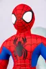 Close-up of a Spider-Man plush toy. Náhľad obrázku produktu
