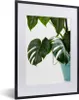MuchoWow® MuchoWow® Gerahmtes Poster Monsterpflanze im Topf Produktbild-Vorschau 1