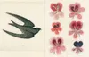 John Derian Sticker Book Produktbild-Vorschau 9