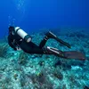 Scubapro potápěčská ploutev Seawing Nova, barva:žlutá, Náhled obrázku produktu 21