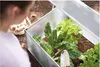 PARKSIDE® Garten-Frühbeet, große Lichtdurchlässigkeit Produktbild-Vorschau 3