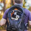 Kurgo Rucksack G-Train K9 Pack schwarz Produktbild-Vorschau 12