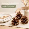 Pinienzapfen 10 Stück 8-12 cm Pinus pinea groß Tannenzapfen Produktbild-Vorschau 3