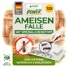 Ameisen Falle mit Spezial-Lockstoff – 12x Fallen – Ameisen Produktbild-Vorschau 1