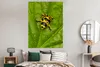 MuchoWow® Poster Gelber und schwarzer Frosch auf einem Produktbild-Vorschau 4
