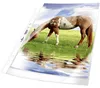 DURABLE Busta perforata PREMIUM A4 in PP extra lucido busta Anteprima dell’immagine prodotto 9