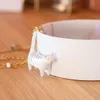 Räder PG Goldstück Schale Katze D.14,3cm, H.5cm Produktbild-Vorschau 2