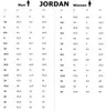 Air Jordan Stadium 90 - Chicago - Herren Sneakers Schuhe Produktbild-Vorschau 4
