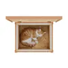 QLS Kattenhuis voor buiten, hout, 40x50x37 cm, inklapbaar Productafbeelding-voorbeeld 13