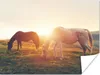 MuchoWow® Poster Pferde - Sonne - Tiere 160x120 cm - Foto Produktbild-Vorschau 1