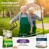 Premium Rasensamen  Sport&Spiel 2,5kg = 100m² Produktbild-Vorschau 7