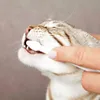 Trixie Zahnpflege-Set für Katzen Produktbild-Vorschau 3