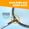 Apollo Badminton Match Pro 800 Carbon Blau/Grau Produktbild-Vorschau 5