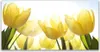 Tulup Leinwand-Bilder 120x60 Wandbild Canvas Kunstdruck Produktbild-Vorschau 1
