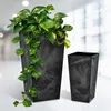 Two black planters, one with a large green and yellow plant, are displayed on a white surface with a blurred background. Produktbild-Vorschau