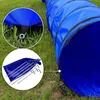 lionto Hundespieltunnel, stabiler Agilitytunnel für Hunde, Produktbild-Vorschau 4
