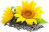 Mynatura  Sonnenblumenkerne, geschält 1Kg 1 Beutel Produktbild-Vorschau 2