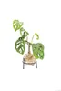 Flora Hydro Vase avec support métallique Voir les images du produit 1