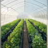 10 mil plastová fólia v rolke 5 x 100 FT, odolná, Náhľad obrázku produktu 8