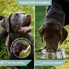 REAVET Dentalspray für Hunde - Entfernt Zahnbelag, Produktbild-Vorschau 3