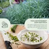 Schnittlauch Samen - Küchenkräuter Saatgut aus biologischem Produktbild-Vorschau 3