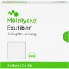 Exufiber 5x5 Cm, 10 St VER Produktbild-Vorschau 1