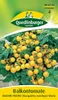 Balkontomate, Balconi Yellow Produktbild-Vorschau 7