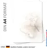 Motiv Briefpapier (Schmetterling-5102, DIN A4, 25 Blatt) Produktbild-Vorschau 1