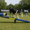 Move and Stic Hundewippe GOFI Agility Spielgerät Produktbild-Vorschau 3
