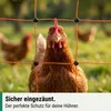 Siatka dla drobiu Agrarzone 50 m x 106 cm, podwójne ostrze, Podgląd zdjęcia produktu 2