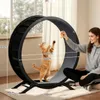 GTPLAYER Katzenlaufrad, laufrad Katze, Extra großer 100 cm, Produktbild-Vorschau 4