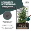 XL Gartenspalier 'Ethica' mit Pflanzkübel Breit 80x36x140 Produktbild-Vorschau 5