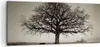 Bild auf Leinwand - Leinwandbild - Einteilig - Baum Schnee Produktbild-Vorschau 1