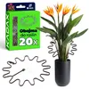 Supporto per piante perenni KADAX rotondo Ø 21 cm in set da Anteprima dell’immagine prodotto 12